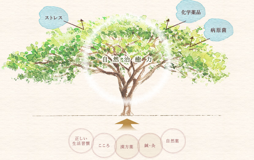 自然治癒力の図