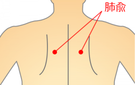 記事サムネイル画像