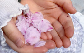 記事サムネイル画像