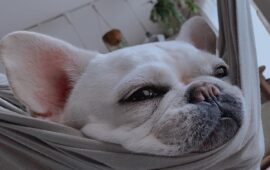 記事サムネイル画像