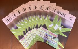 記事サムネイル画像
