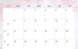 記事サムネイル画像