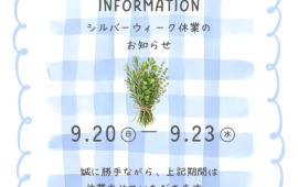 記事サムネイル画像